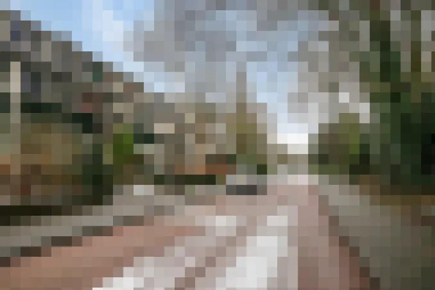 Wagenaarlaan 36 Ede thumbnail 4