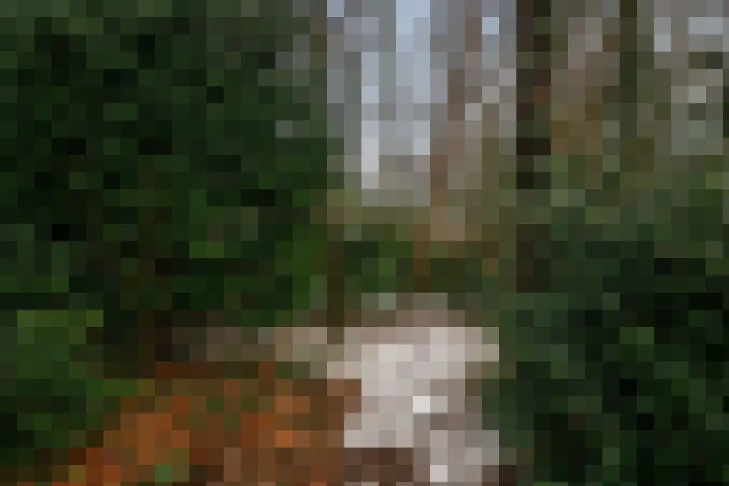 Wagenaarlaan 36 Ede thumbnail 41