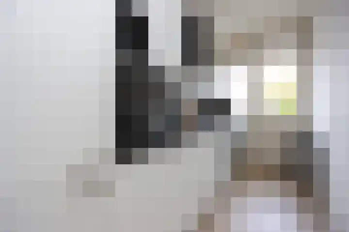 Wagenaarlaan 46 Ede thumbnail 13