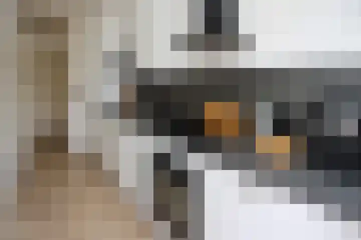 Wagenaarlaan 46 Ede thumbnail 14