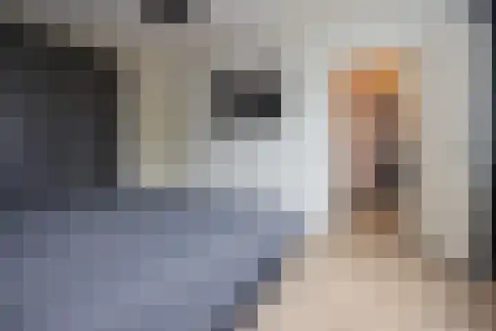 Wagenaarlaan 46 Ede thumbnail 18