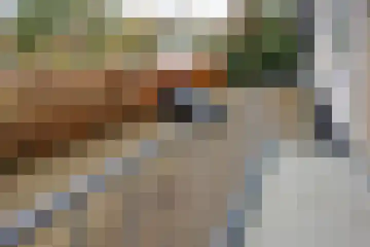 Wagenaarlaan 46 Ede thumbnail 24