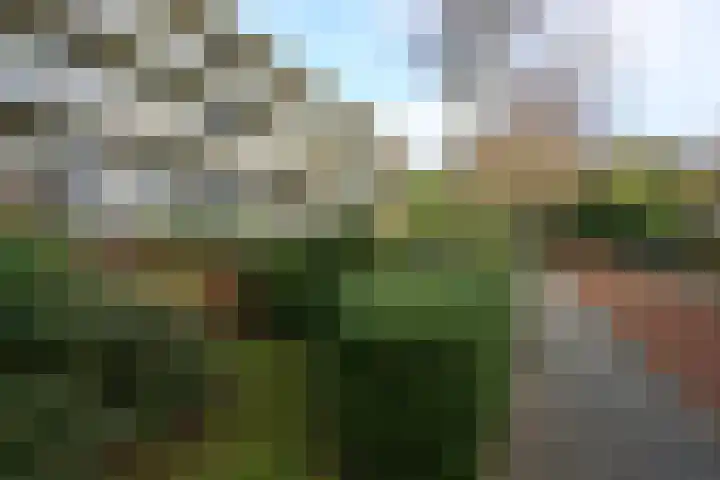 Wagenaarlaan 46 Ede thumbnail 29