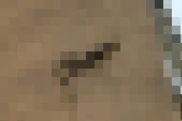 Wagenaarlaan 46 Ede thumbnail 4