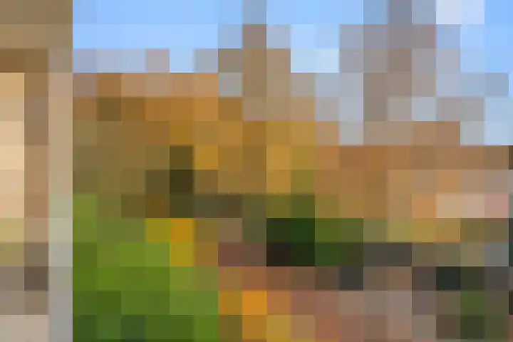 Wagenaarlaan 62 Ede thumbnail 17