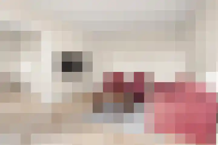 Wagenaarlaan 62 Ede thumbnail 18