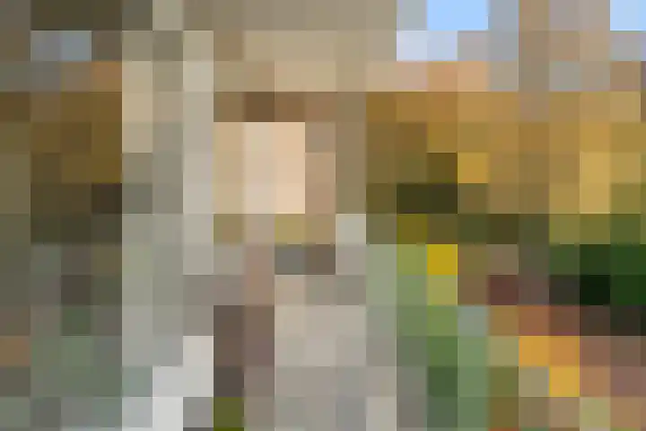Wagenaarlaan 62 Ede thumbnail 21