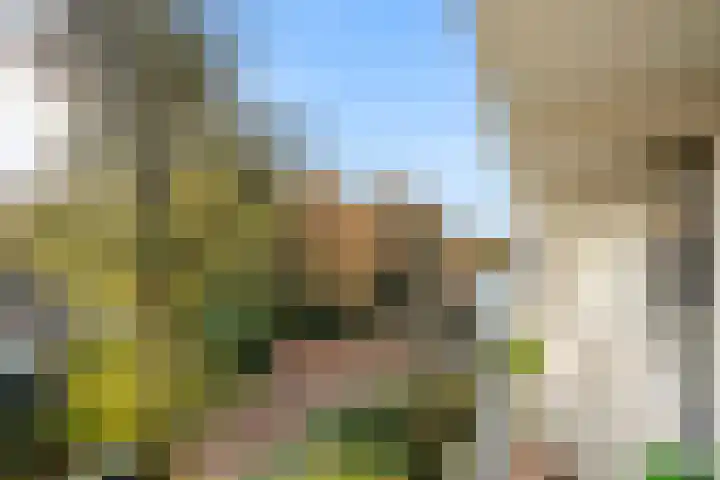 Wagenaarlaan 62 Ede thumbnail 22