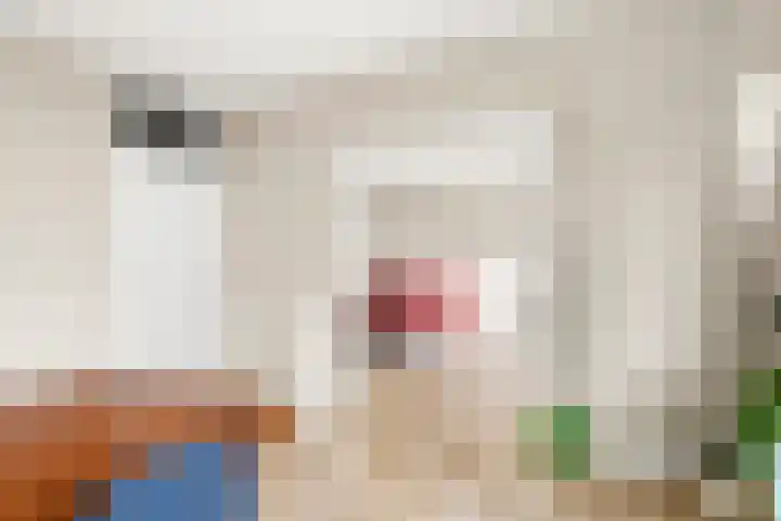 Wagenaarlaan 62 Ede thumbnail 24