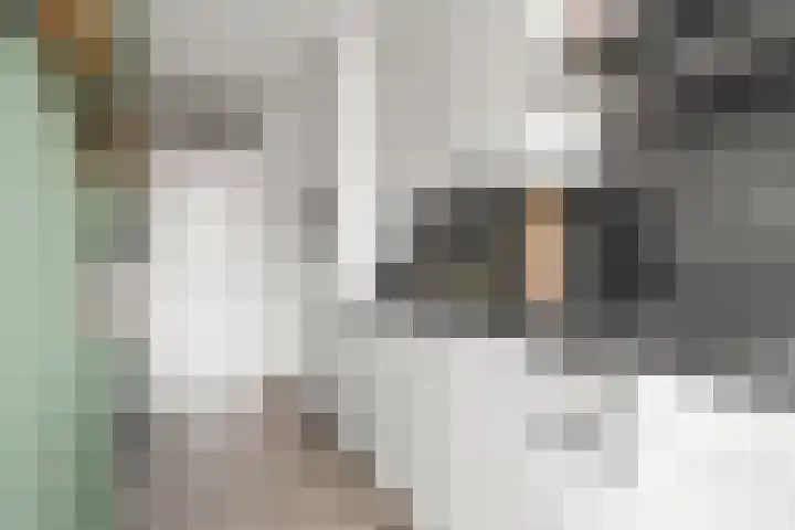 Wagenaarlaan 62 Ede thumbnail 30