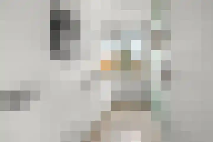 Wagenaarlaan 62 Ede thumbnail 31