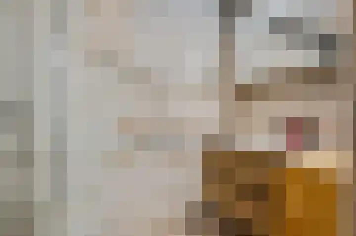 Wagenaarlaan 8 Ede thumbnail 16