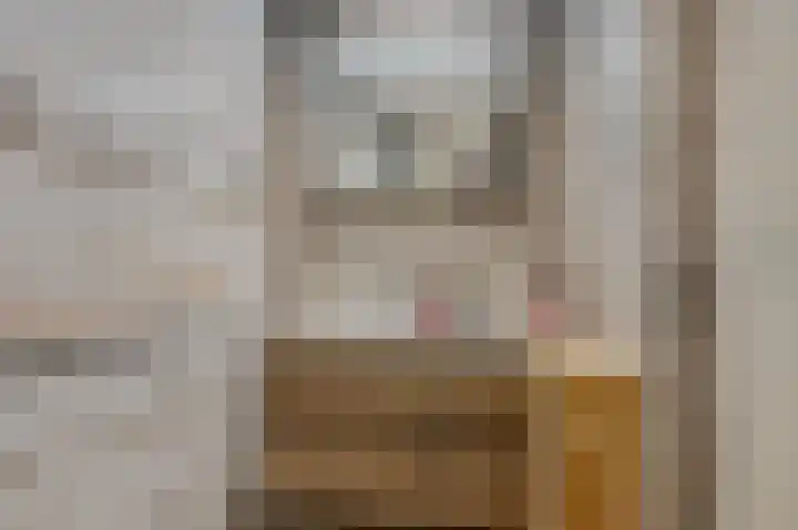 Wagenaarlaan 8 Ede thumbnail 17