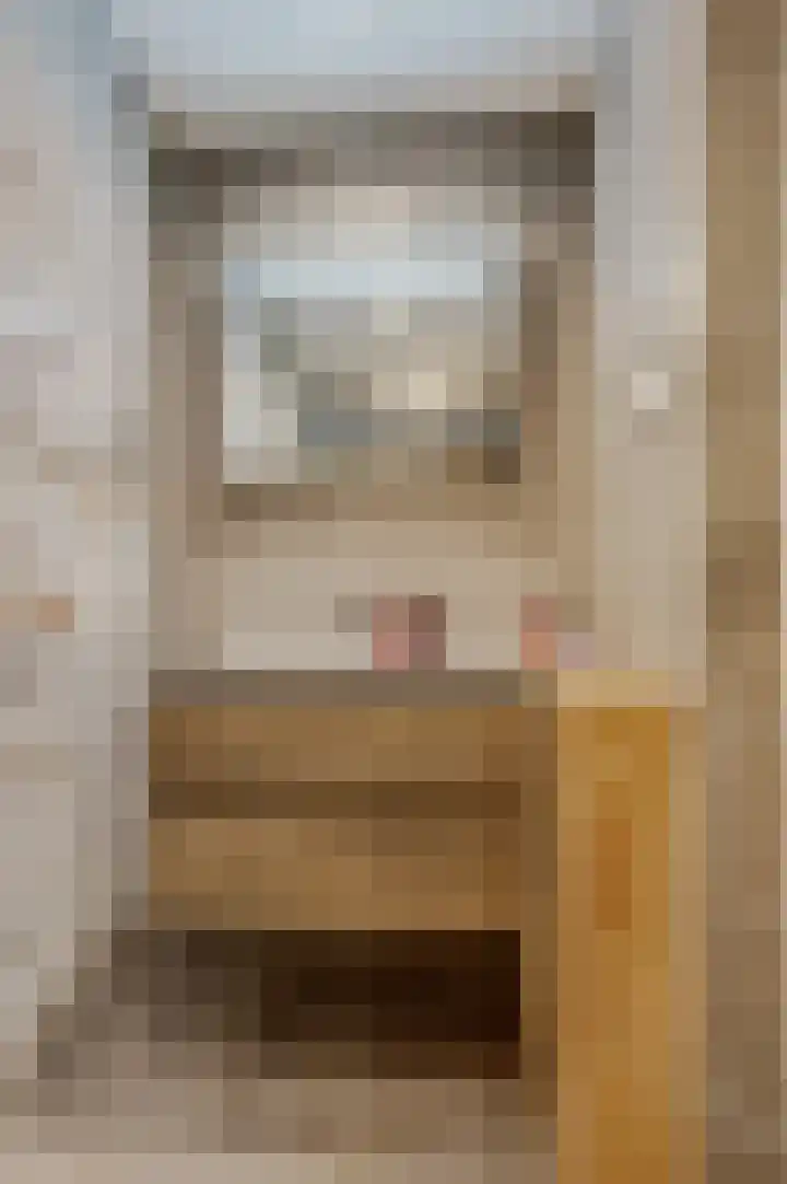 Wagenaarlaan 8 Ede thumbnail 18