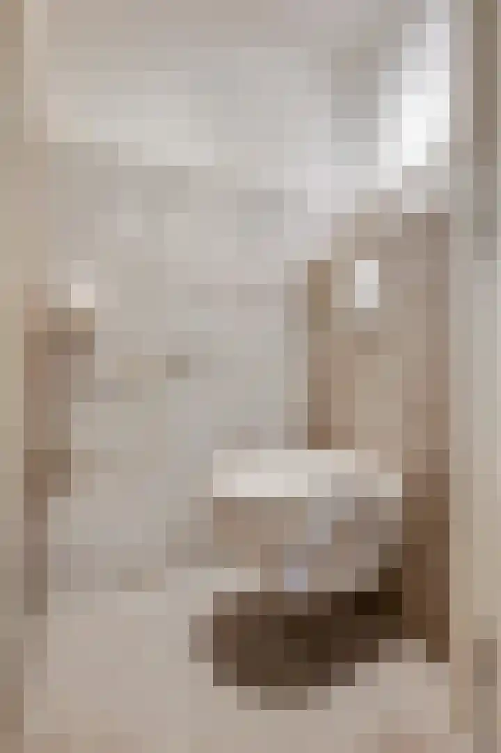 Wagenaarlaan 8 Ede thumbnail 21