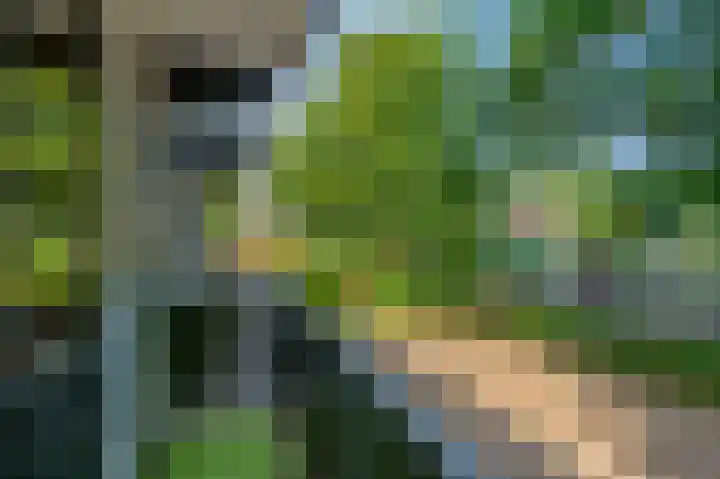 Wagenaarlaan 8 Ede thumbnail 23