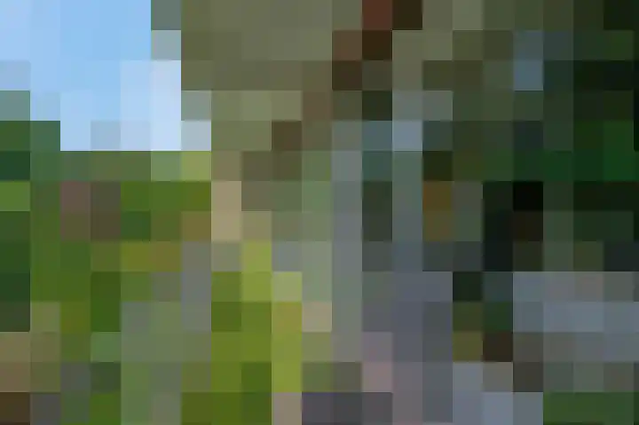 Wagenaarlaan 8 Ede thumbnail 25