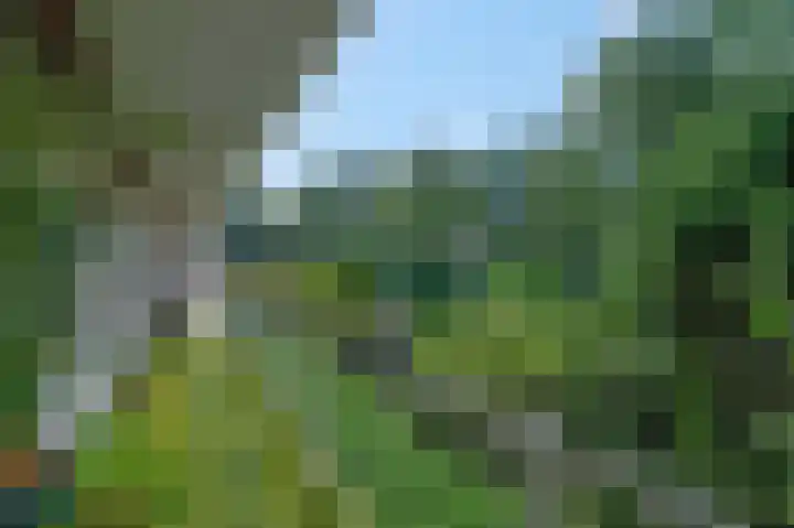 Wagenaarlaan 8 Ede thumbnail 26