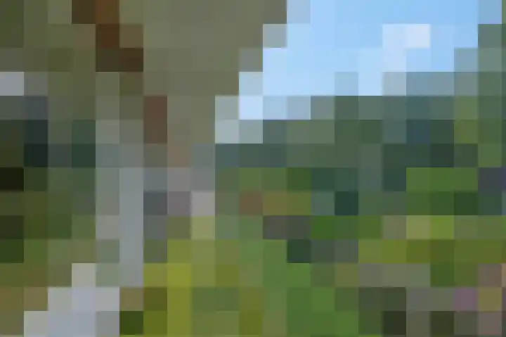 Wagenaarlaan 8 Ede thumbnail 27