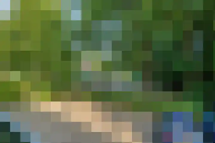 Wagenaarlaan 8 Ede thumbnail 28