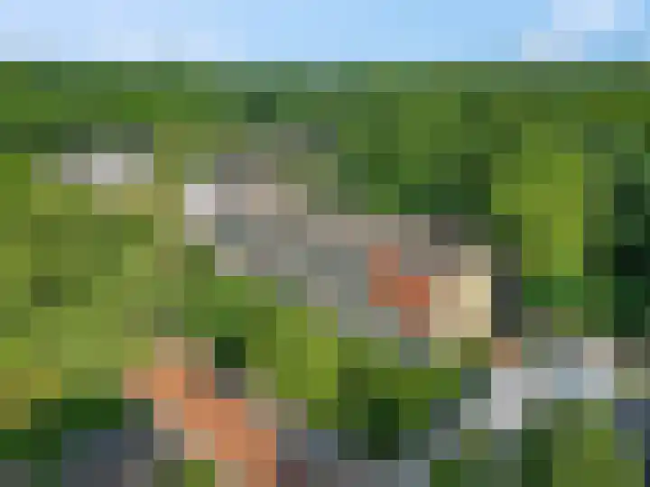 Wagenaarlaan 8 Ede thumbnail 39