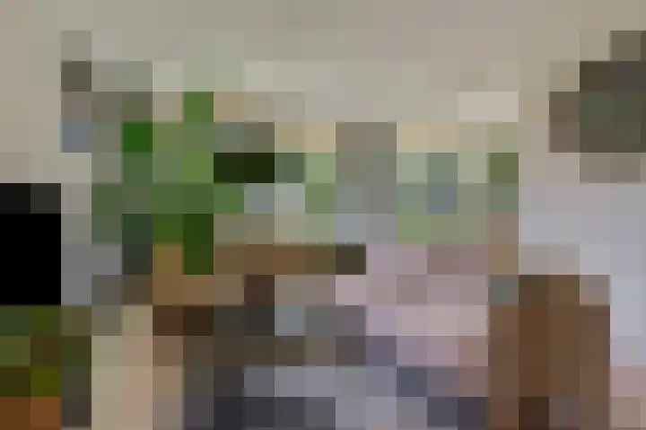 Wagenaarlaan 8 Ede thumbnail 4