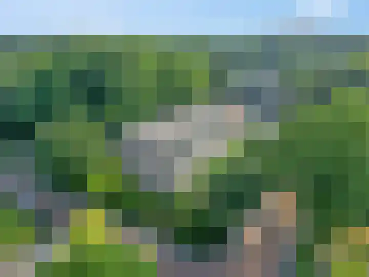 Wagenaarlaan 8 Ede thumbnail 40