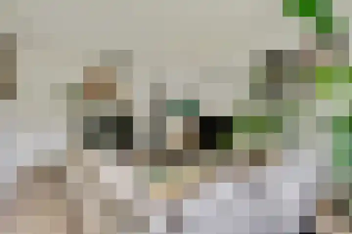 Wagenaarlaan 8 Ede thumbnail 5