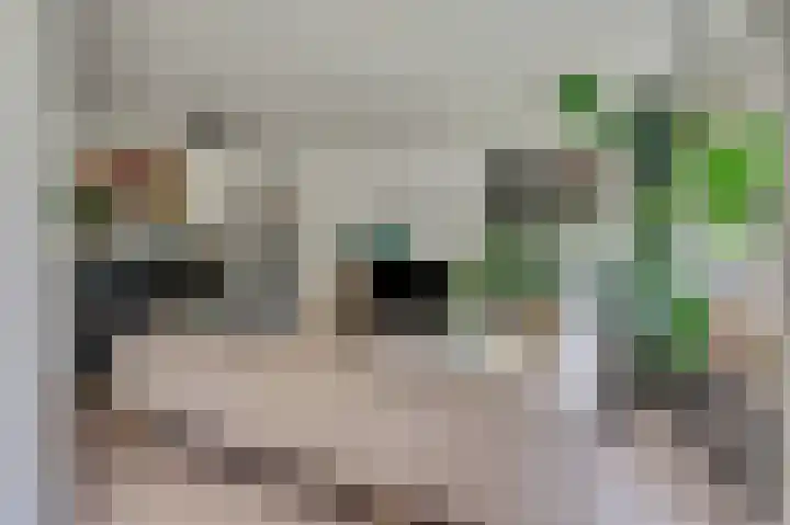 Wagenaarlaan 8 Ede thumbnail 6