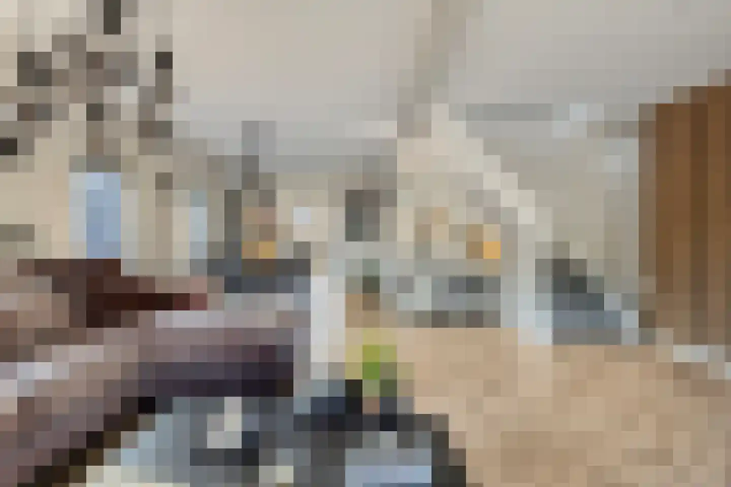 Wagenaarstraat 1 Waspik thumbnail 12