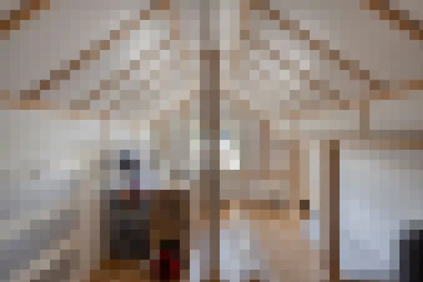 Wagenaarstraat 1 Waspik thumbnail 39