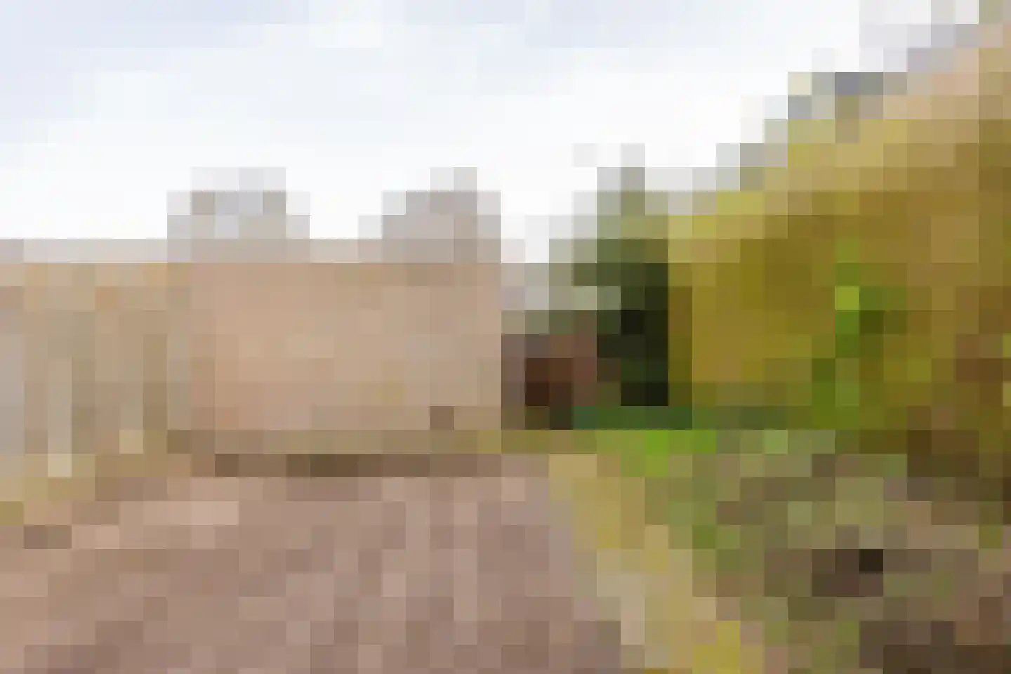Wagenaarstraat 108 Oss thumbnail 24