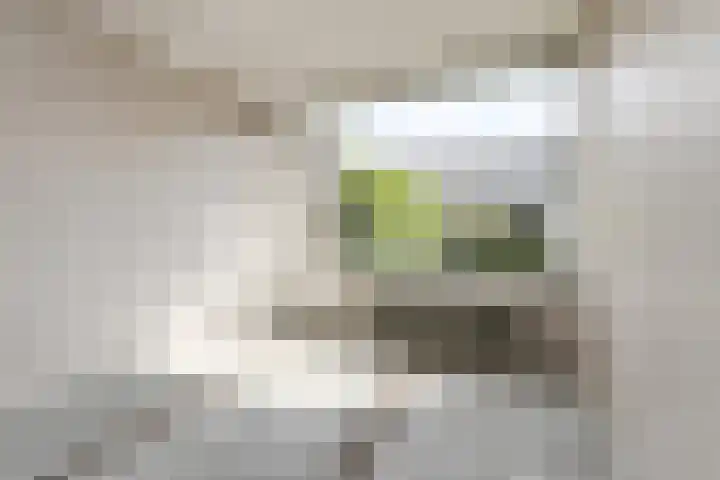 Wagenaarstraat 11 Oosterhout thumbnail 14