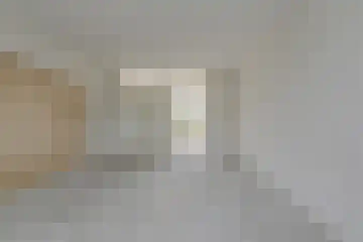 Wagenaarstraat 11 Oosterhout thumbnail 9