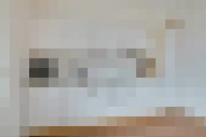Wagenaarstraat 15 Blokker thumbnail 15