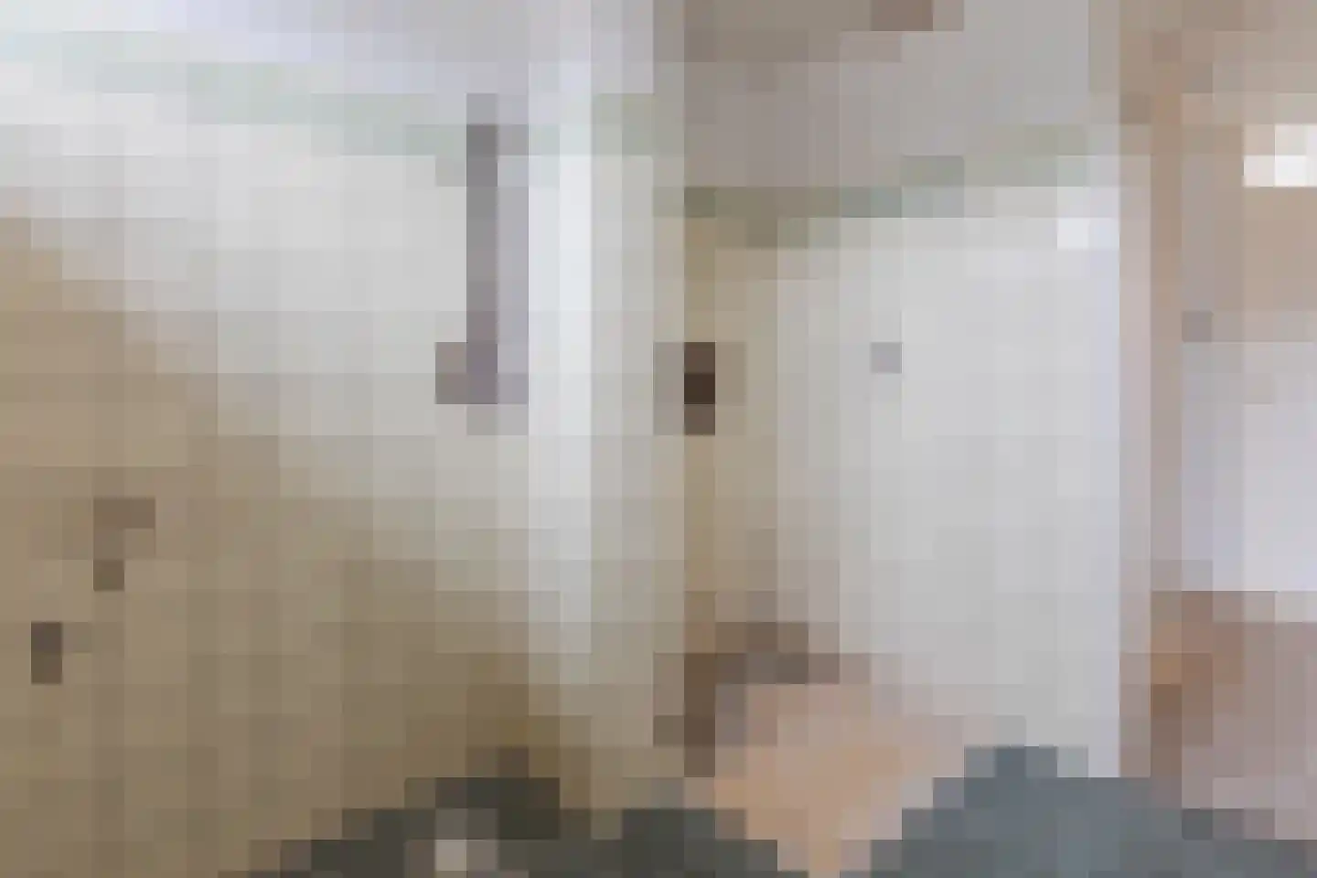 Wagenaarstraat 156 Oss thumbnail 26
