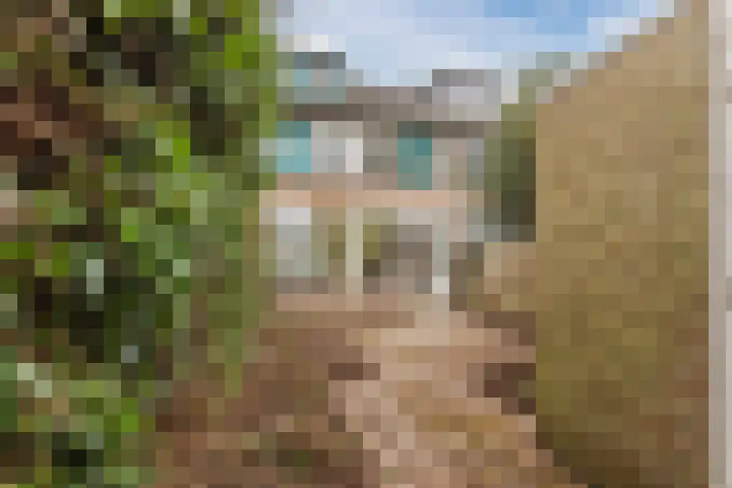 Wagenaarstraat 156 Oss thumbnail 38