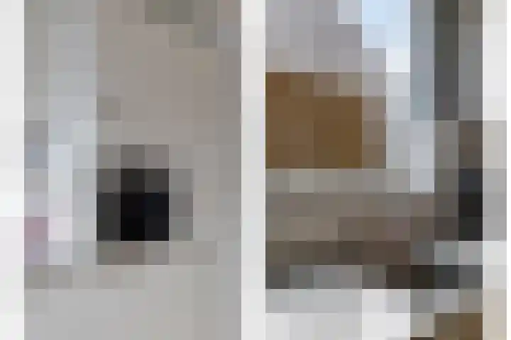 Wagenaarstraat 20 Naaldwijk thumbnail 10