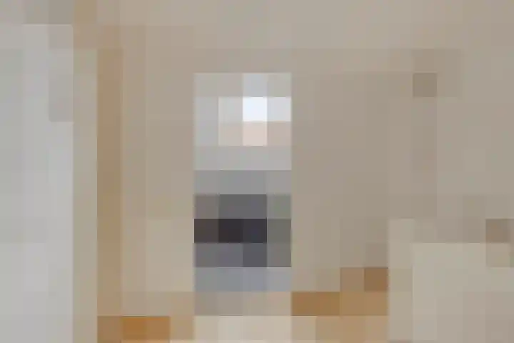 Wagenaarstraat 20 Naaldwijk thumbnail 24