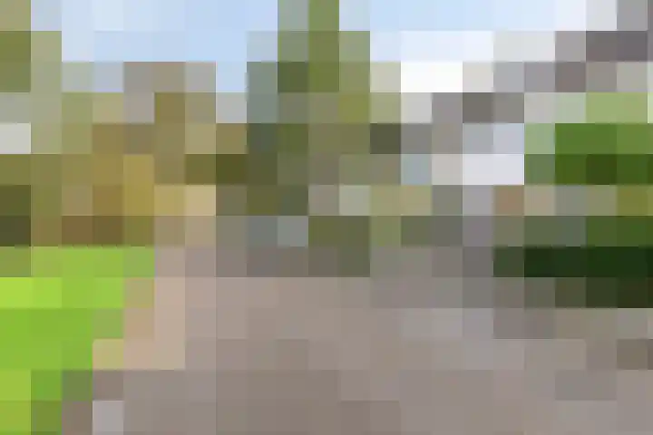 Wagenaarstraat 20 Naaldwijk thumbnail 31