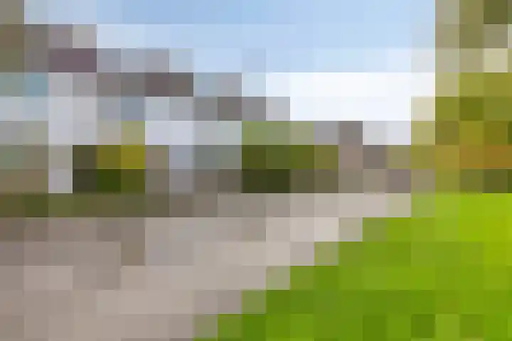 Wagenaarstraat 20 Naaldwijk thumbnail 32