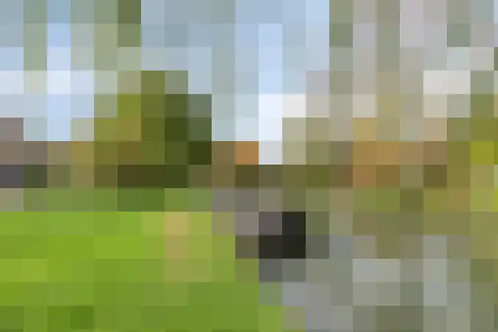 Wagenaarstraat 20 Naaldwijk thumbnail 34
