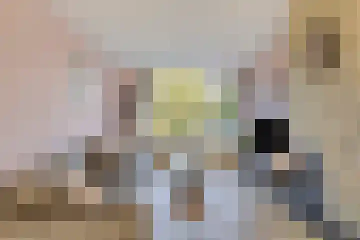 Wagenaarstraat 20 Naaldwijk thumbnail 4