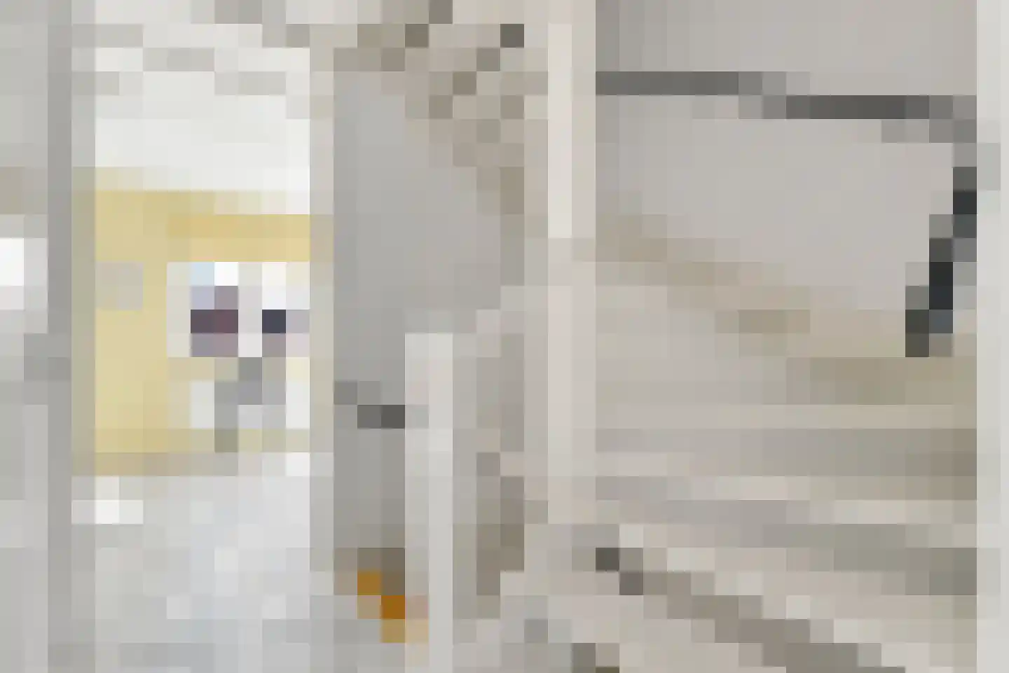 Wagenaarstraat 20 Vlissingen thumbnail 17
