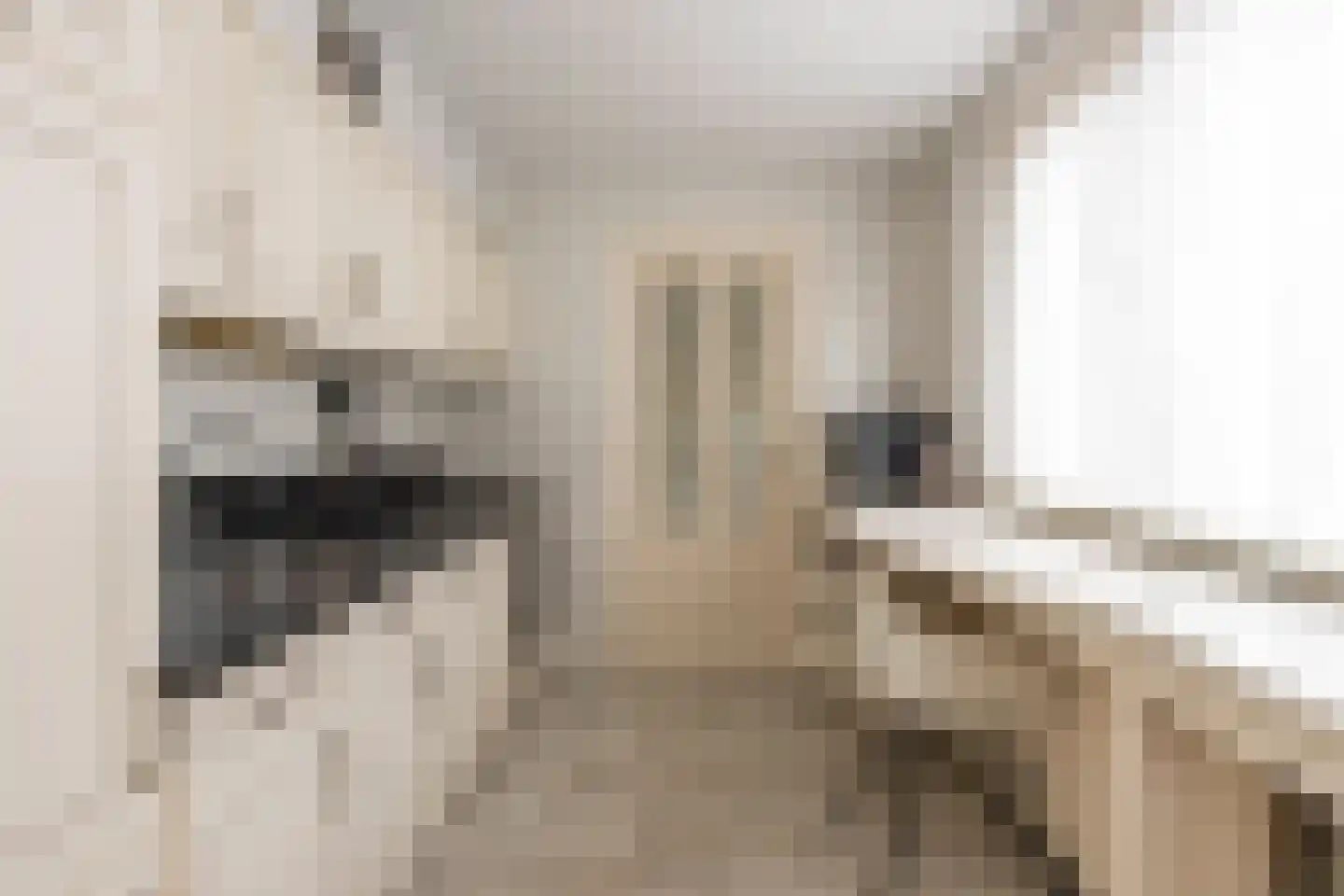 Wagenaarstraat 24 Tilburg thumbnail 15