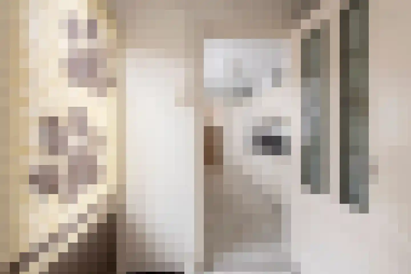Wagenaarstraat 24 Tilburg thumbnail 18