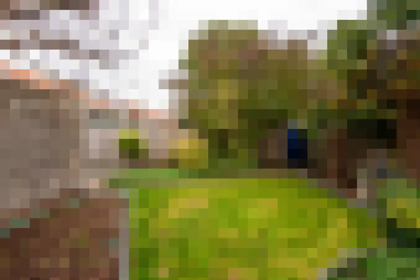 Wagenaarstraat 24 Tilburg thumbnail 38