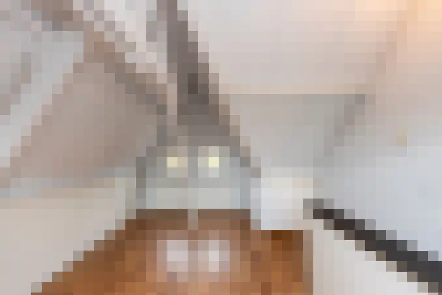 Wagenaarstraat 24 Tilburg thumbnail 6