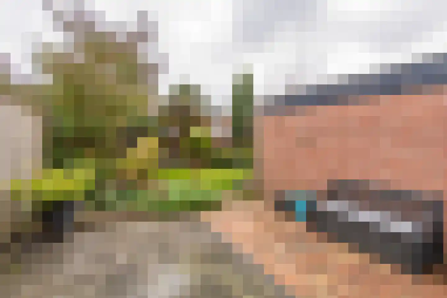 Wagenaarstraat 24 Tilburg thumbnail 7