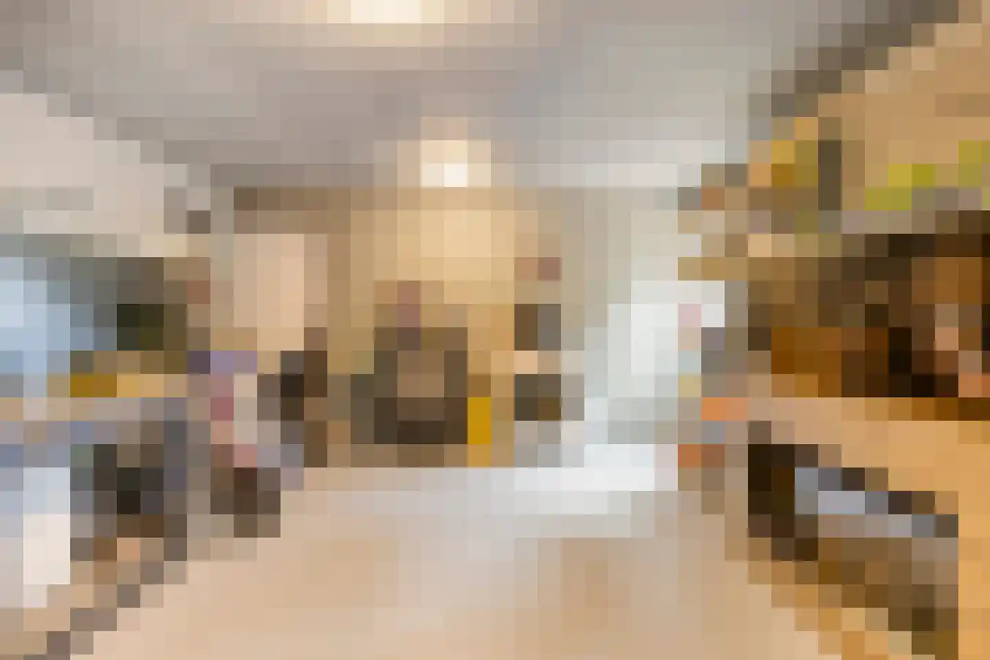 Wagenaarstraat 25 Oss thumbnail 28